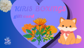kiris boxings gift card